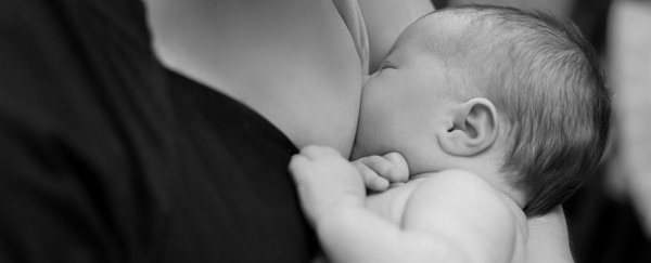 Pre-term breastfeeding has been linked to better brain development, IQ, and academic achievement