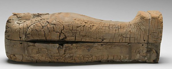 The youngest-ever mummified foetus from Ancient Egypt has been found in this tiny coffin
