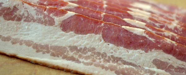 Obesity can actually scar your fat tissue, making weight loss even harder