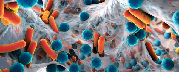Even more evidence has linked Parkinson's disease to our gut bacteria