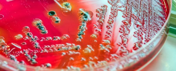 Counterpoint: Why you probably should still take your full course of antibiotics