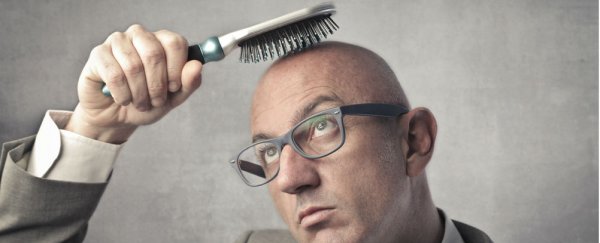 Plucking hair in a specific pattern could encourage five times more growth