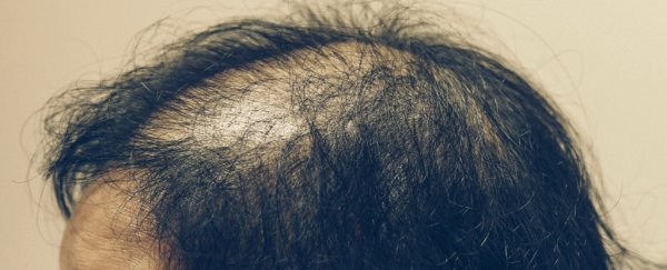 Scientists have developed a baldness treatment that helps grow new follicles