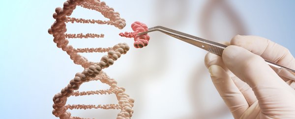 A fatal blood disorder was fixed in an embryo using precision gene editing