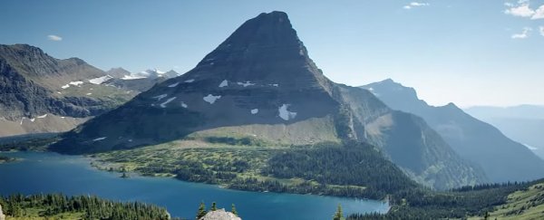WATCH: The BBC uploaded 40 hours of breathtaking Planet Earth II video to YouTube