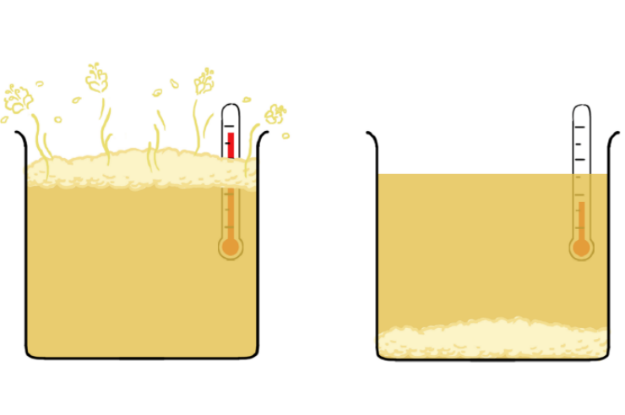 WATCH: The Science of Beer : ScienceAlert