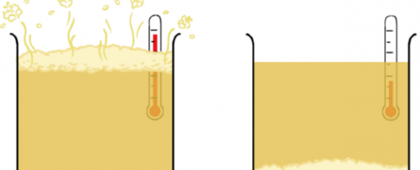 WATCH: The Science of Beer