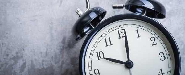 Scientists find the 'brain clock' that keeps our memories ticking