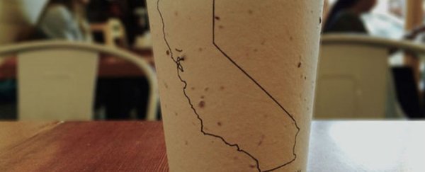 These plantable coffee cups contain seeds to grow in your backyard