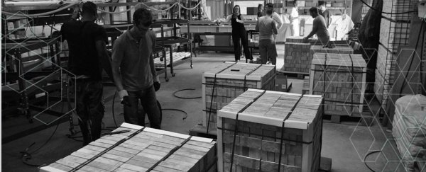 This company is growing bricks that fight climate change