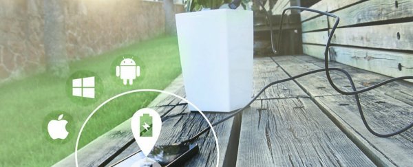 This pot plant can charge your phone through photosynthesis