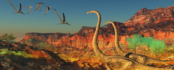 Scientists think they've finally figured out how birds outlived the dinosaurs