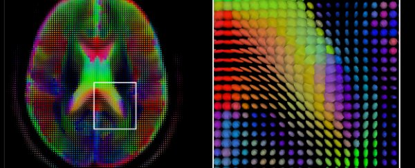 This is how many tasks your brain is processing right now