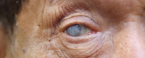An "off-the-charts dangerous" clinical trial in Florida has left 3 women blind