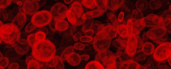 This simple blood test can predict cancer as accurately as a lump in the breast