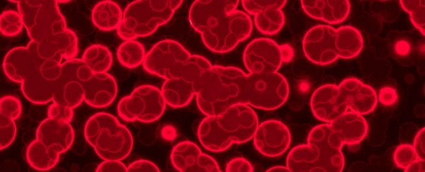 Human volunteers will receive lab-made 'synthetic blood’ transfusions