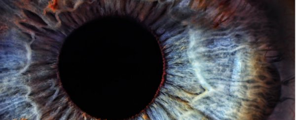 You can now turn your brown eyes blue for $5,000