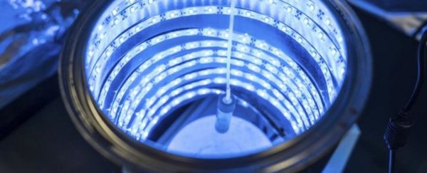 This new material replicates photosynthesis to generate clean energy and suck up CO2