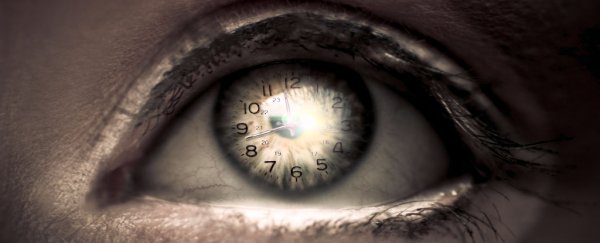 This internal 'master clock' could be in control of all our circadian rhythms