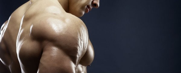 A bodybuilding diet could help in the treatment of schizophrenia, study finds