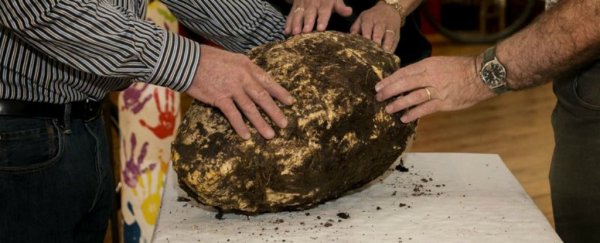 An Irish worker just found a 2,000-year-old lump of 'bog butter' that's still edible