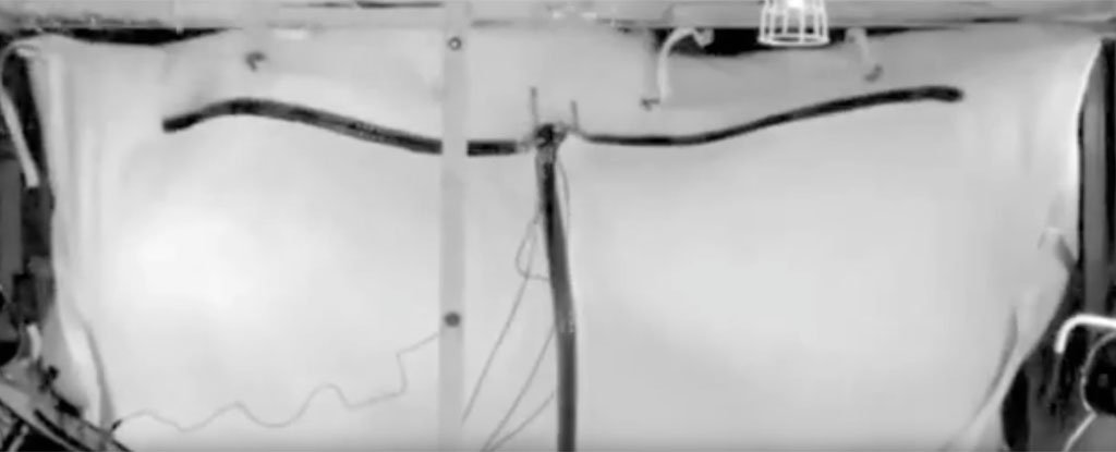 This Bomb-Proof Bag Can Suppress Explosions on Aircraft : ScienceAlert