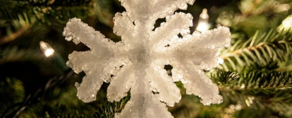Here's your chance to do some science experiments over the holidays
