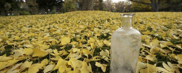 One of world's longest-running experiments is buried in a secret location in Michigan