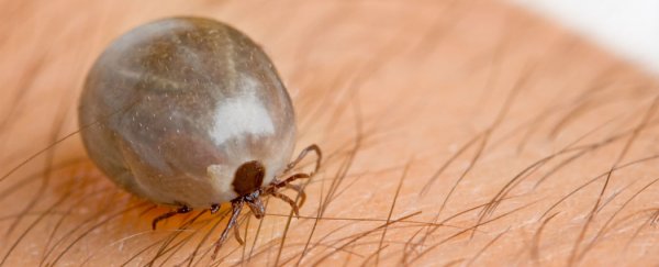 Man’s death leads to the discovery of a new virus