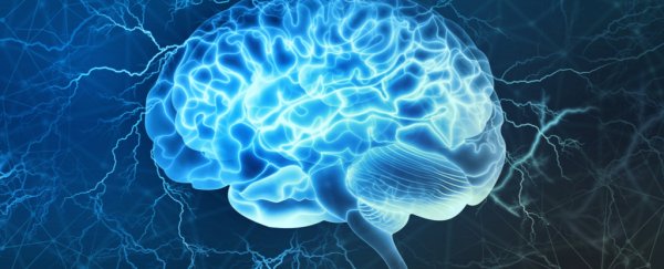 Researchers have discovered a previously unknown role for the brain's hippocampus