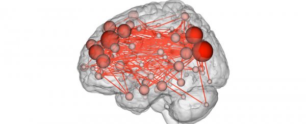 Brain activity is as unique as fingerprints, and correlates to intelligence, study finds