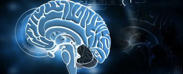 High IQ could reduce a person's risk of developing schizophrenia