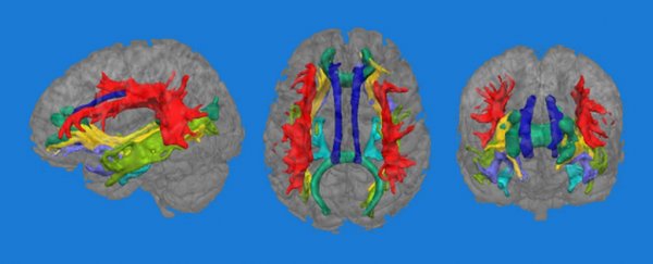Depression could change the wiring inside your brain, new study shows