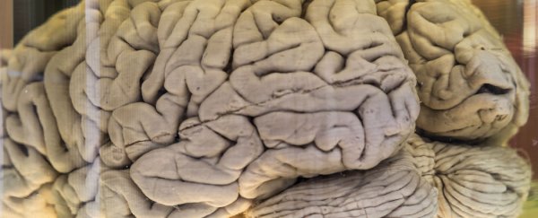 New study reveals main culprit for Alzheimer’s disease