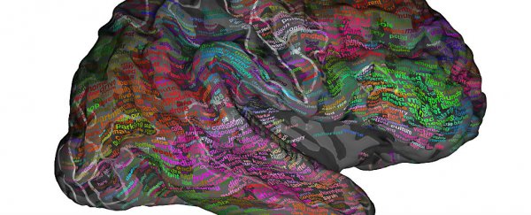 This giant 'brain dictionary' reveals where your mind stores thousands of words