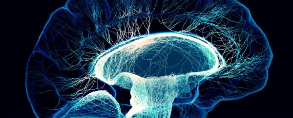 New mathematical model shows how our brains make complex decisions