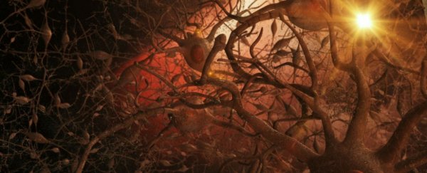 New Alzheimer’s treatment fully restores memory function