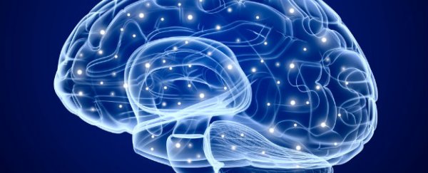Scientists have invented a brain decoder that could read your inner thoughts