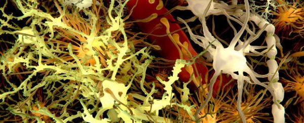 Scientists have opened the blood-brain barrier for the first time
