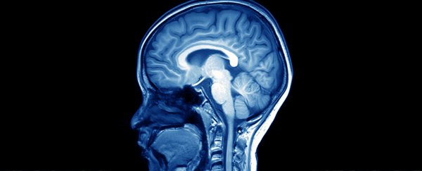 Scientists have identified 40 new genes linked to intelligence
