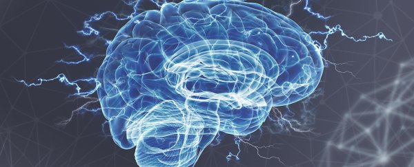 Brain stimulation in mice gives hope of restoring social behaviours in autism