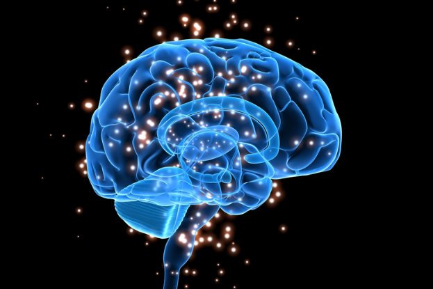 This Single Protein Influences How Your Brain Copes With