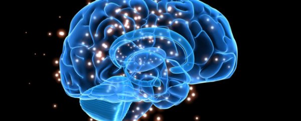 This single protein influences how your brain copes with stress