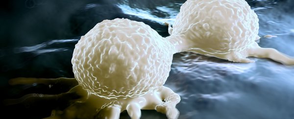 Researchers now know how cancers force other cells to make fake viruses