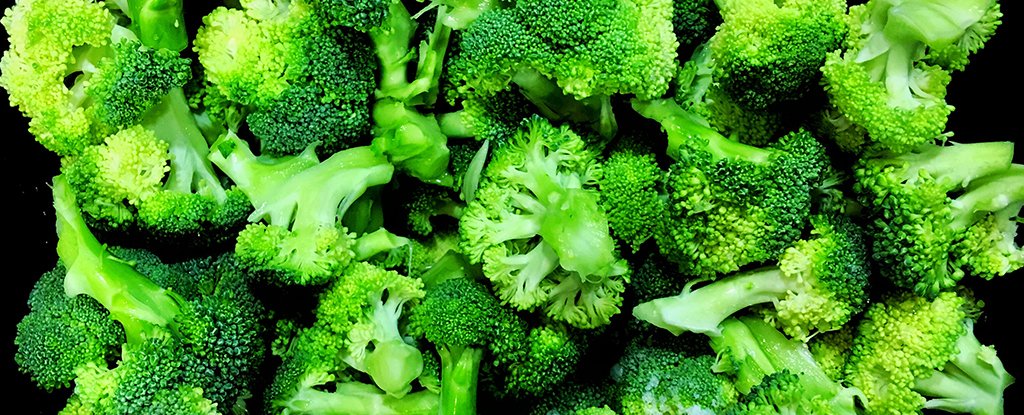 Broc pot 1024