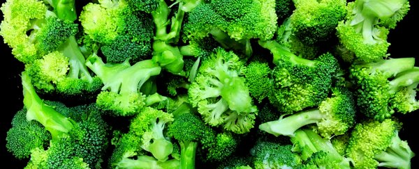 Broccoli could be a secret weapon against diabetes, say scientists