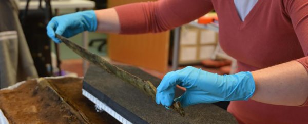 Archaeologists just made the "find of a lifetime" buried beneath Scotland