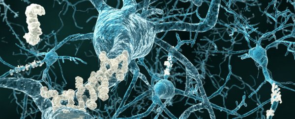 New treatment halts Alzheimer’s development and memory loss in mice