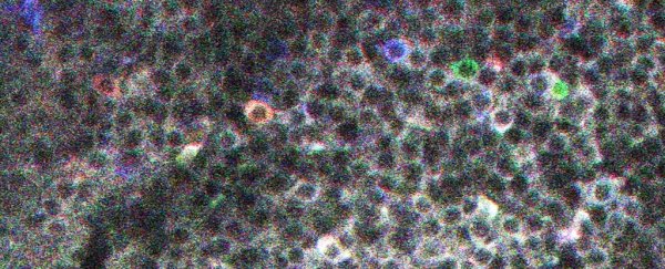 Scientists might have just seen the building blocks of memories light up for the first time
