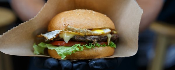 Bodies may treat fast food like a dangerous infection, mouse experiment shows